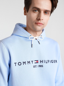 Худи Tommy Hilfiger модель MW0MW11599-C3Q Фото