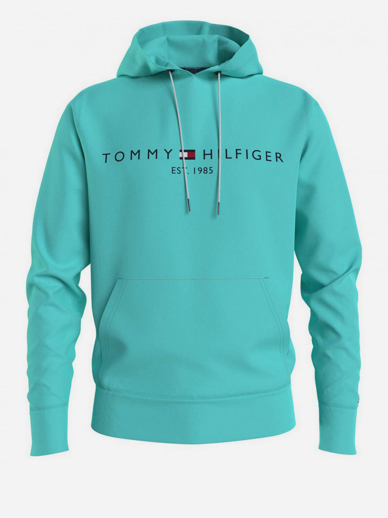 Худи Tommy Hilfiger модель MW0MW11599-L62 Фото