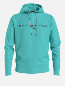 Худи Tommy Hilfiger модель MW0MW11599-L62 Фото
