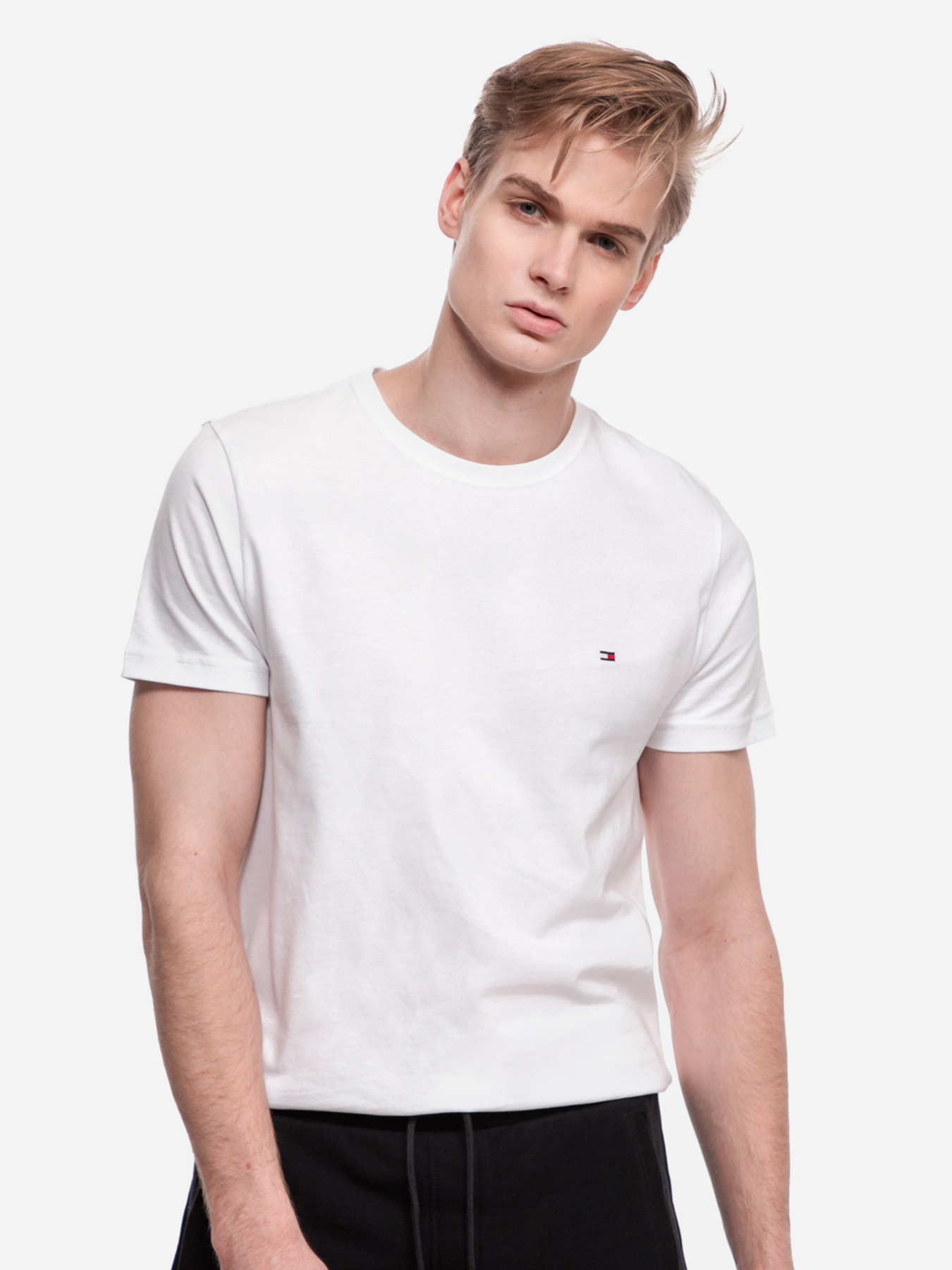 Футболки и поло Tommy Hilfiger модель MW0MW13344-YBR Футболки и поло Tommy Hilfiger модель MW0MW13344-YBR Фото