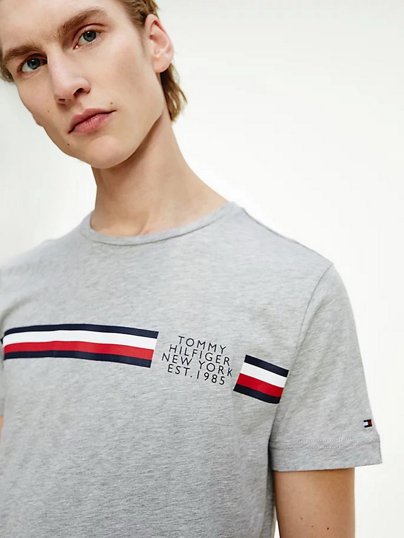 Футболки и поло Tommy Hilfiger модель MW0MW16592-P91 Фото