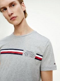 Футболки и поло Tommy Hilfiger модель MW0MW16592-P91 Фото