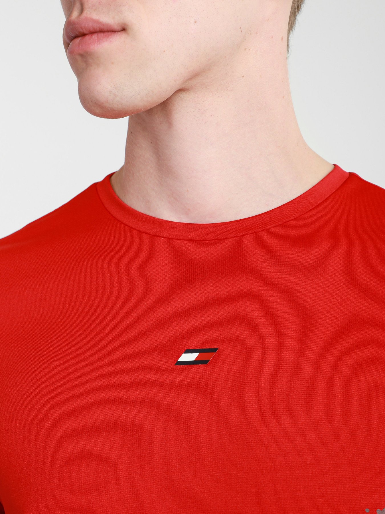 Футболки и поло Tommy Hilfiger модель MW0MW17230-XLG Фото