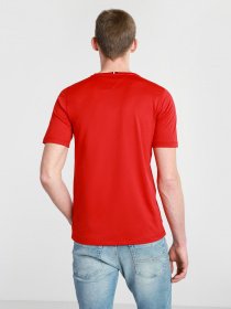 Футболки и поло Tommy Hilfiger модель MW0MW17230-XLG Фото