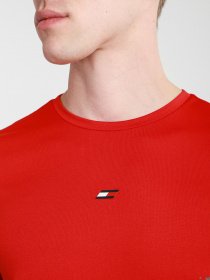 Футболки и поло Tommy Hilfiger модель MW0MW17230-XLG Фото