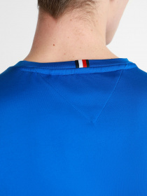 Спортивная футболка Tommy Hilfiger модель MW0MW17231-D02 Фото