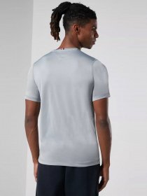 Футболки и поло Tommy Hilfiger модель MW0MW17231-PRT Фото