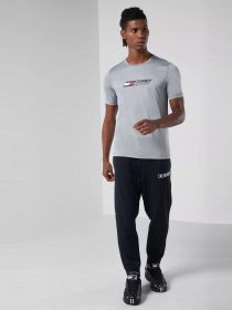 Футболки и поло Tommy Hilfiger модель MW0MW17231-PRT Фото