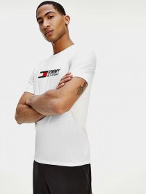 Футболки и поло Tommy Hilfiger модель MW0MW17231-YBR Фото