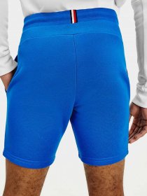 Повседневные шорты Tommy Hilfiger модель MW0MW17234-D02 Фото