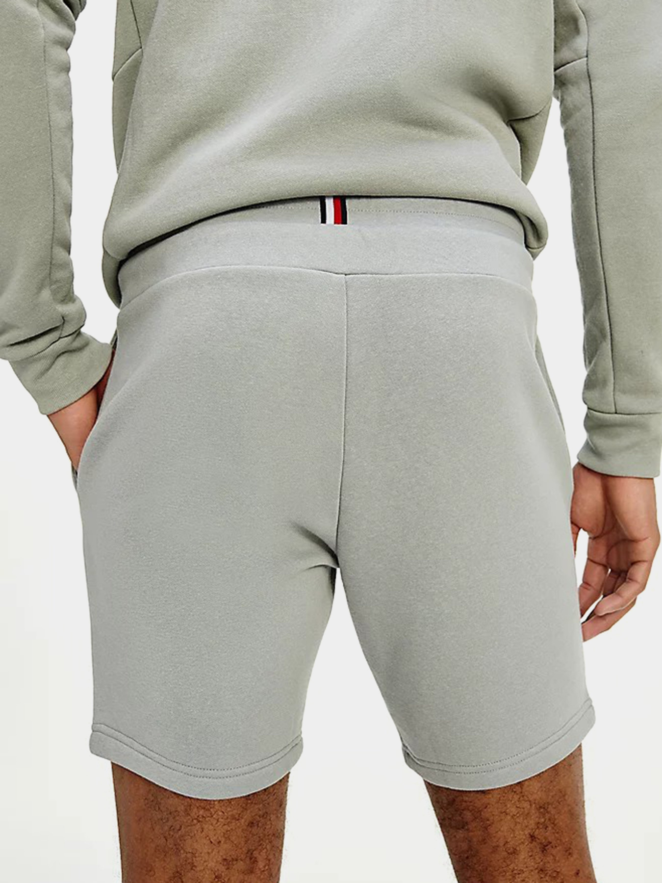 Шорты Tommy Hilfiger модель MW0MW17234-PRT Фото