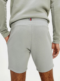Шорты Tommy Hilfiger модель MW0MW17234-PRT Фото