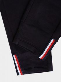 Спортивні штани Tommy Hilfiger Cool модель MW0MW17238-DW5 Фото