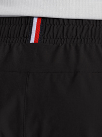 Шорты Tommy Hilfiger модель MW0MW17257-BDS Фото