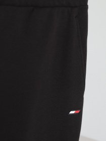 Штаны спортивные Tommy Hilfiger модель MW0MW17271-BDS Фото