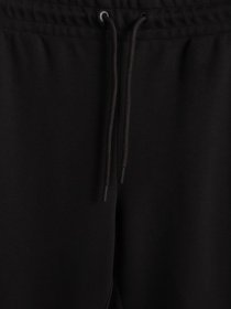 Штаны спортивные Tommy Hilfiger модель MW0MW17271-BDS Фото