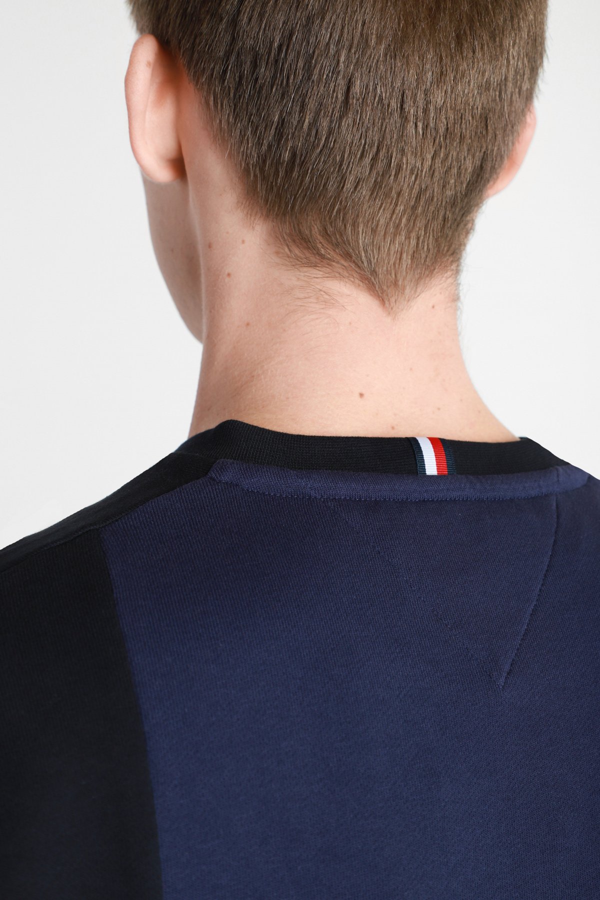 Свитшот Tommy Hilfiger модель MW0MW17278-DY4 Фото