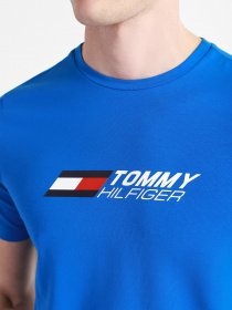 Футболки и поло Tommy Hilfiger модель MW0MW17282-D02 Фото