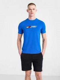 Футболки и поло Tommy Hilfiger модель MW0MW17282-D02 Фото