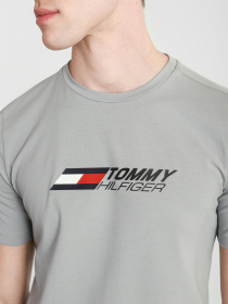 Футболки и поло Tommy Hilfiger модель MW0MW17282-PRT Фото