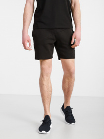 Повседневные шорты Tommy Hilfiger модель MW0MW17326-BDS Фото