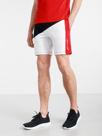 Шорты Tommy Hilfiger модель MW0MW17333-DW5 Фото