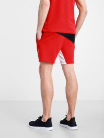 Повсякденні шорти Tommy Hilfiger модель MW0MW17333-DW5 Фото