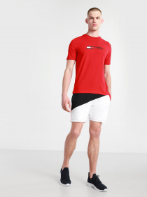 Повсякденні шорти Tommy Hilfiger модель MW0MW17333-DW5 Фото