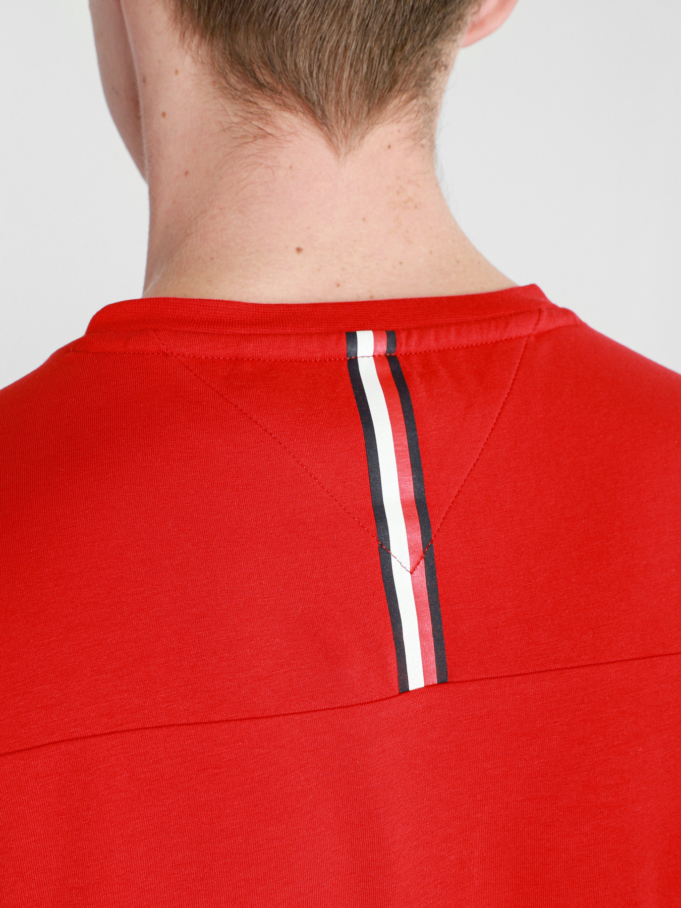 Футболки и поло Tommy Hilfiger модель MW0MW17373-XLG Фото