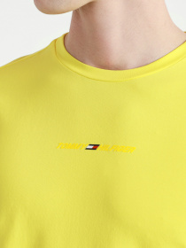 Футболка спортивная Tommy Hilfiger модель MW0MW17373-ZIK Фото