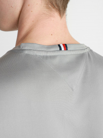 Футболка спортивная Tommy Hilfiger модель MW0MW17374-PRT Фото