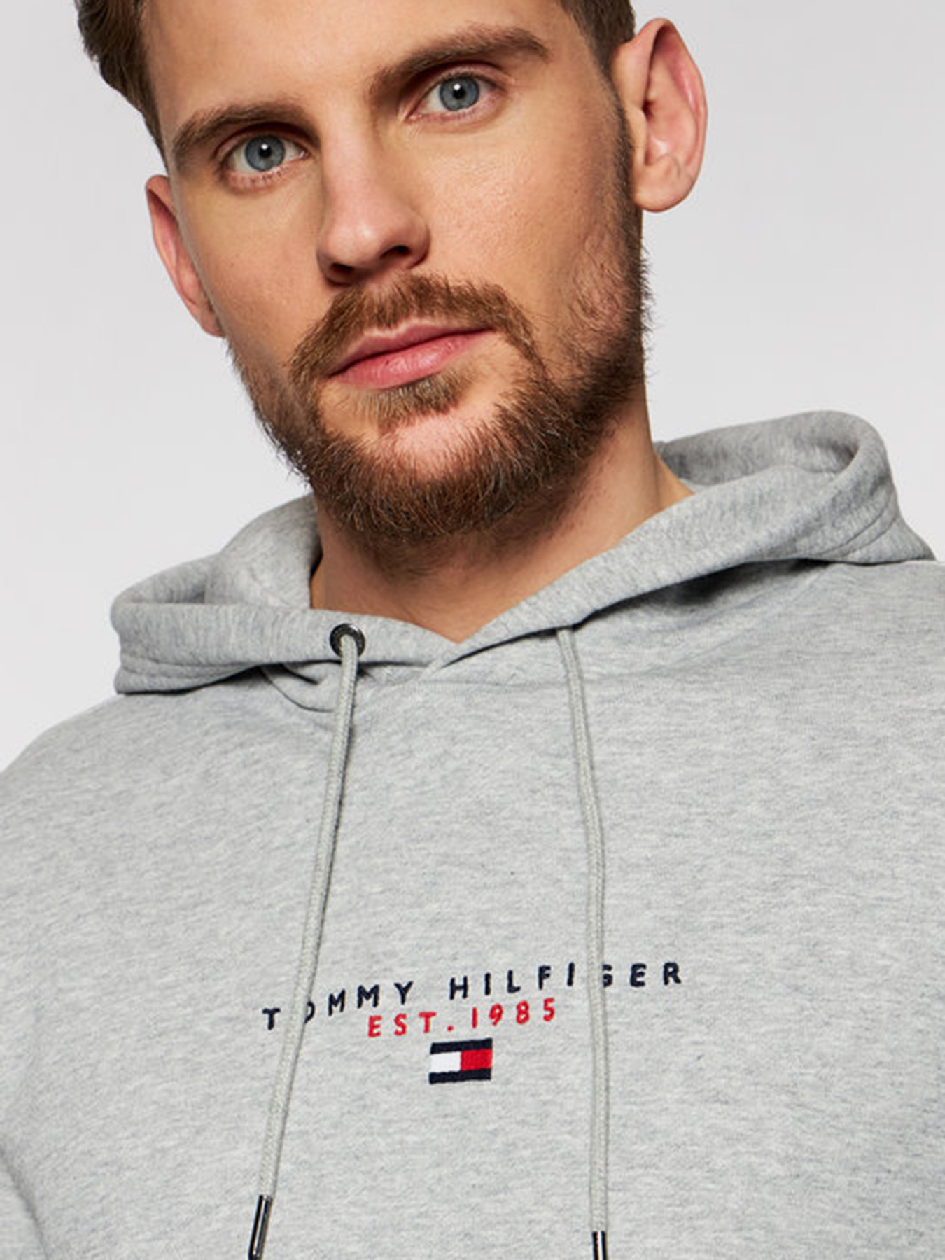 Худи Tommy Hilfiger ESSENTIAL модель MW0MW17382-P91 Фото