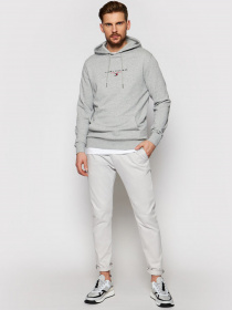 Худи Tommy Hilfiger ESSENTIAL модель MW0MW17382-P91 Фото
