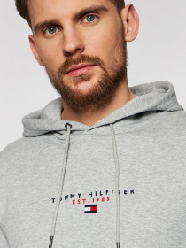 Худи Tommy Hilfiger ESSENTIAL модель MW0MW17382-P91 Фото