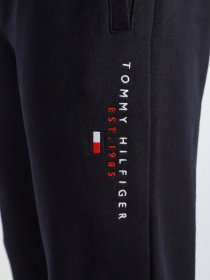 Спортивні штани Tommy Hilfiger модель MW0MW17384-DW5 Фото