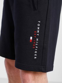 Шорты Tommy Hilfiger модель MW0MW17401-DW5 Фото
