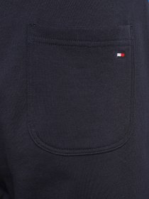 Шорти Tommy Hilfiger модель MW0MW17401-DW5 Фото