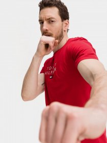 Футболки и поло Tommy Hilfiger модель MW0MW17663-XLG Фото