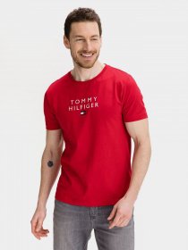 Футболки и поло Tommy Hilfiger модель MW0MW17663-XLG Фото