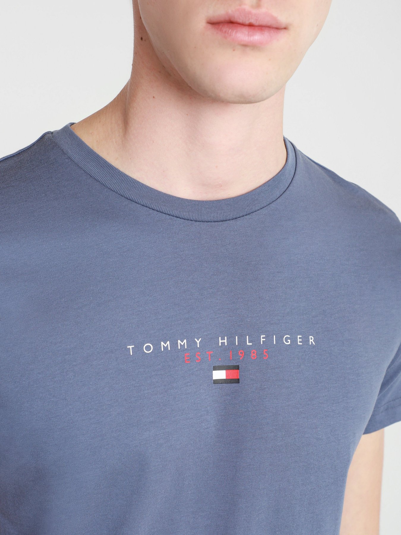 Футболки і поло Tommy Hilfiger модель MW0MW17676-C9T Фото