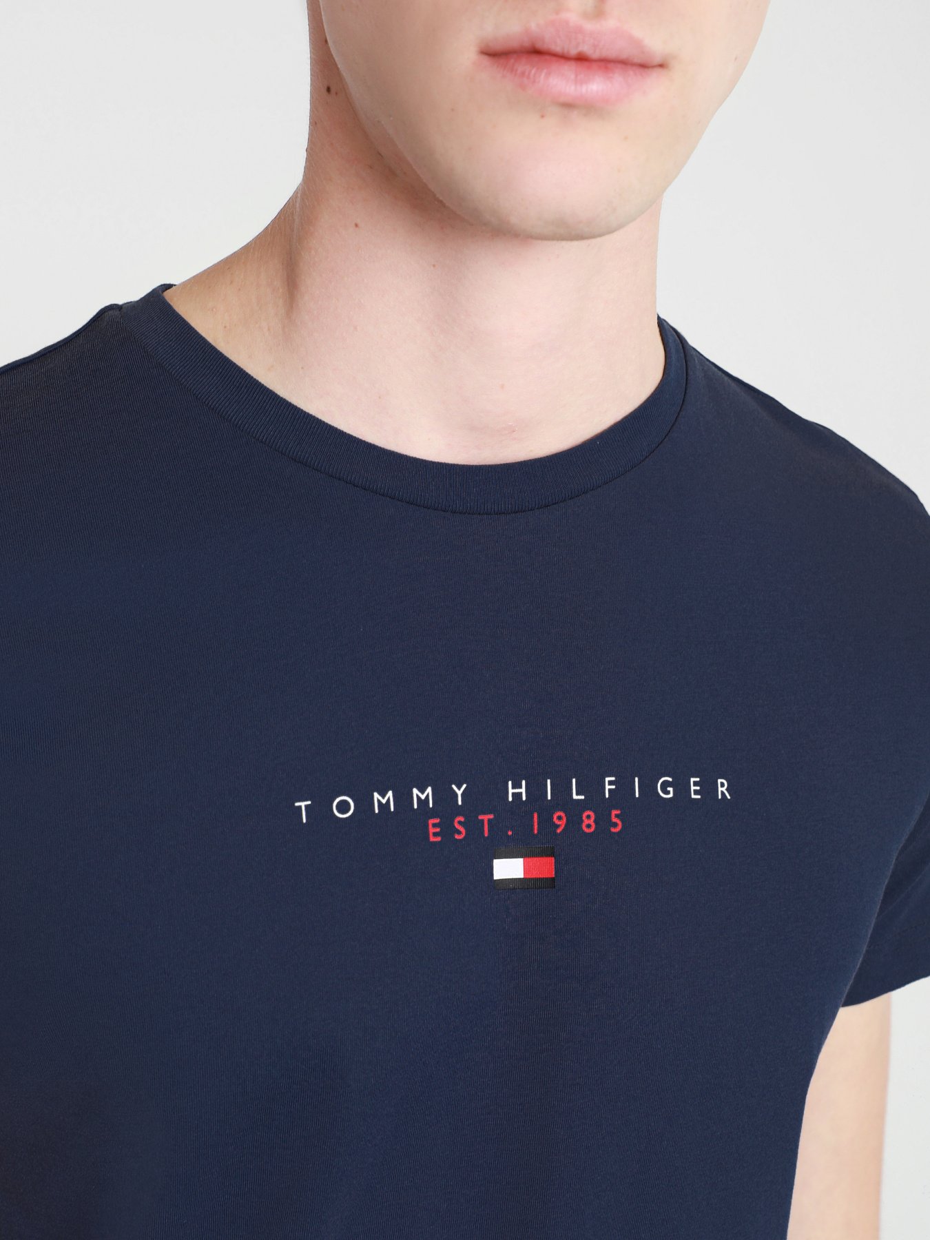 Футболки и поло Tommy Hilfiger модель MW0MW17676-DW5 Фото