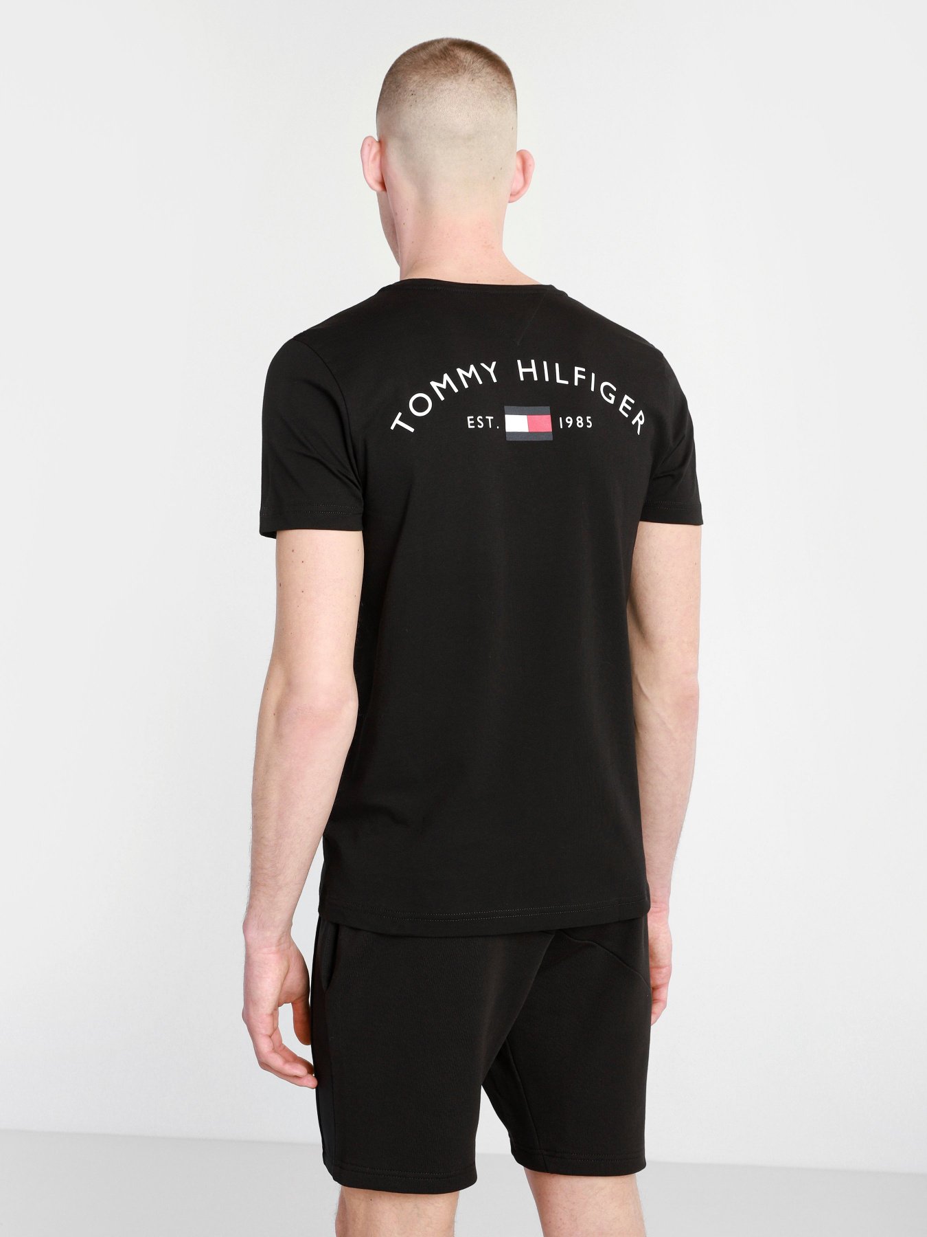 Футболки і поло Tommy Hilfiger модель MW0MW17681-BDS Фото