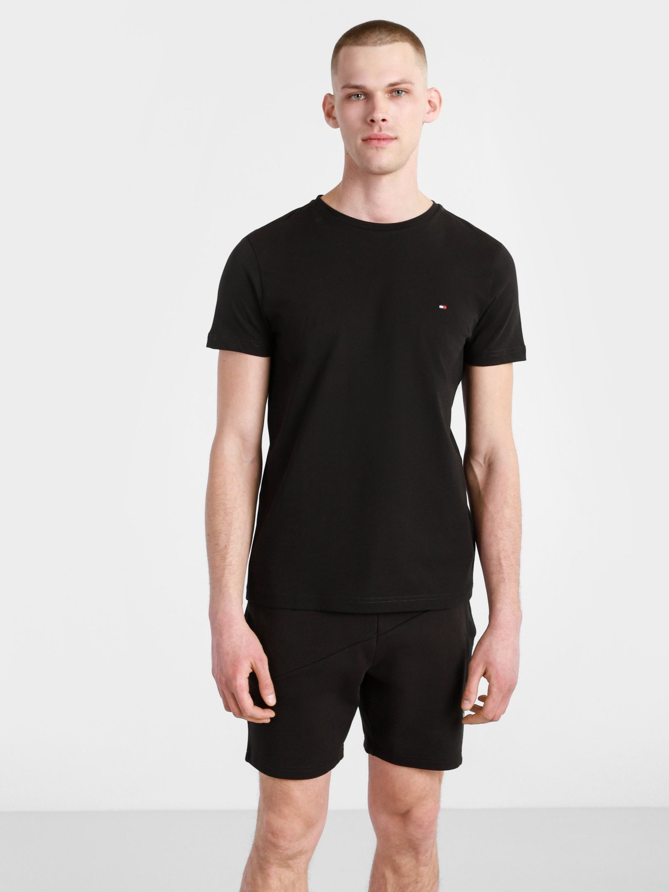 Футболки і поло Tommy Hilfiger модель MW0MW17681-BDS Фото