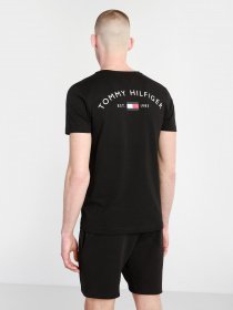 Футболки і поло Tommy Hilfiger модель MW0MW17681-BDS Фото