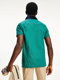 Поло Tommy Hilfiger модель MW0MW17774-L6N Фото