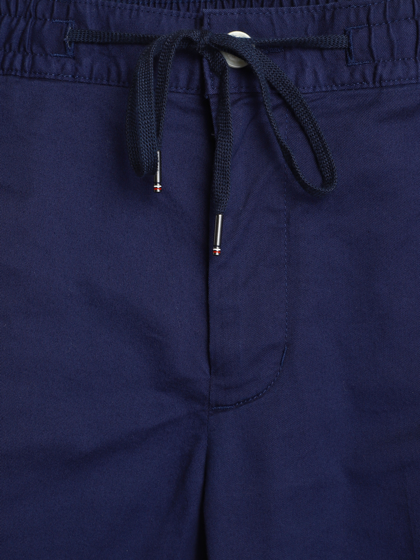 Брюки повседневные Tommy Hilfiger модель MW0MW17921-DY4 Фото