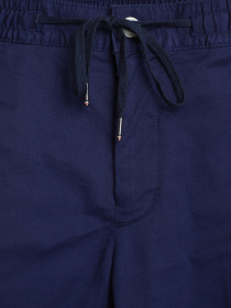 Брюки повседневные Tommy Hilfiger модель MW0MW17921-DY4 Фото