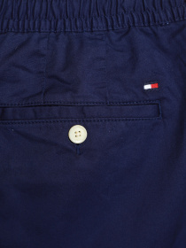 Повседневные штаны Tommy Hilfiger модель MW0MW17921-DY4 Фото