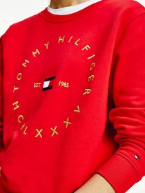 Світшот Tommy Hilfiger модель WW0WW29435-XLG Фото