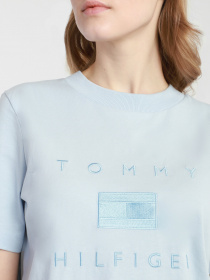 Футболки і поло Tommy Hilfiger модель WW0WW29582-C1O Фото